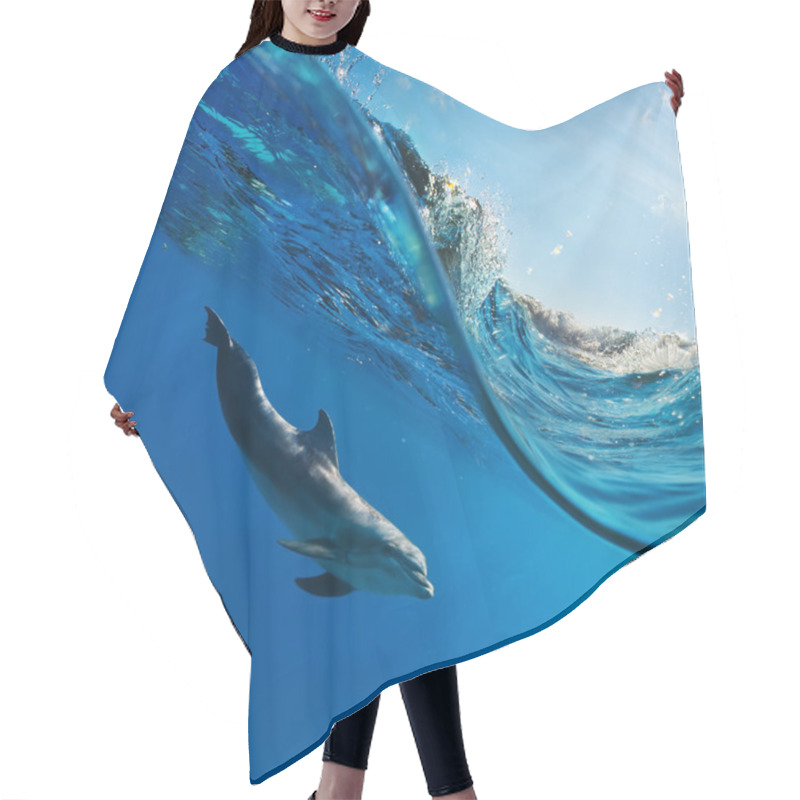 Personality  A Dolphin Swimming Underwater Hair Cutting Cape