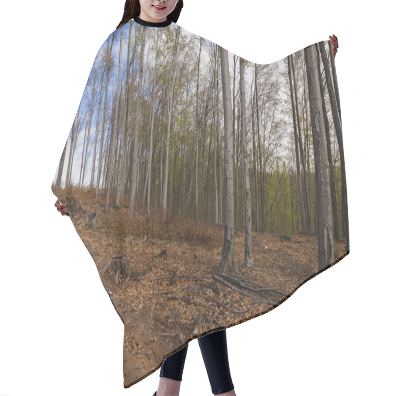 Personality  Dirty Path In Mountain Forest In Autumn  Hair Cutting Cape