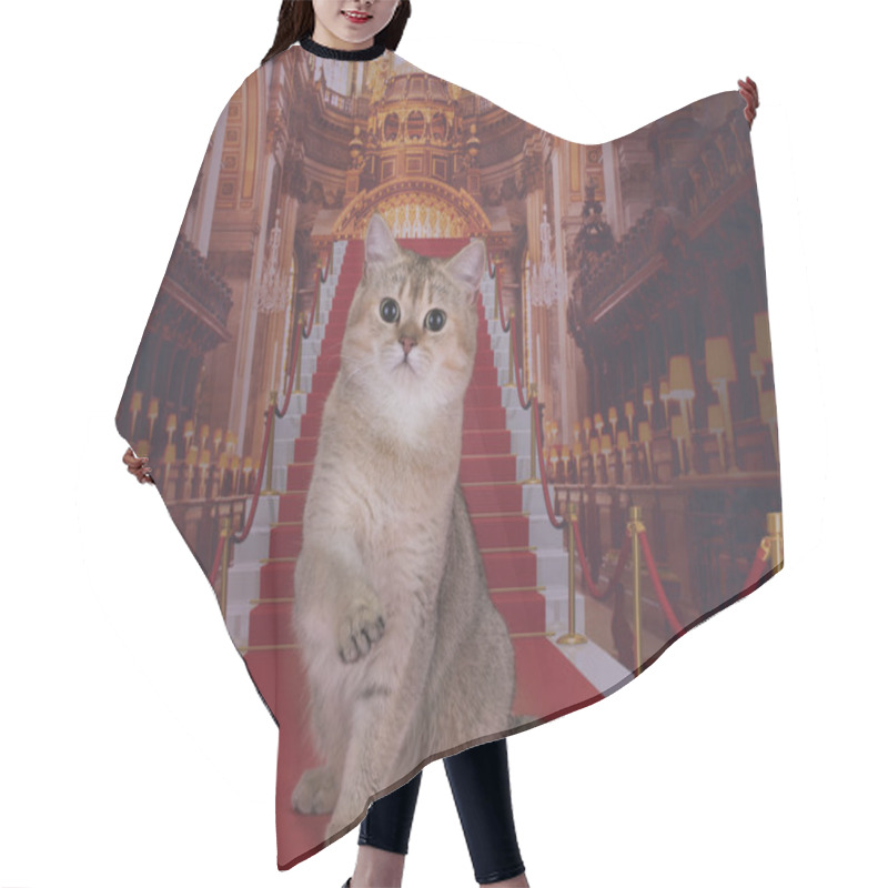 Personality  Golden British Cat On The Red Carpet Hair Cutting Cape