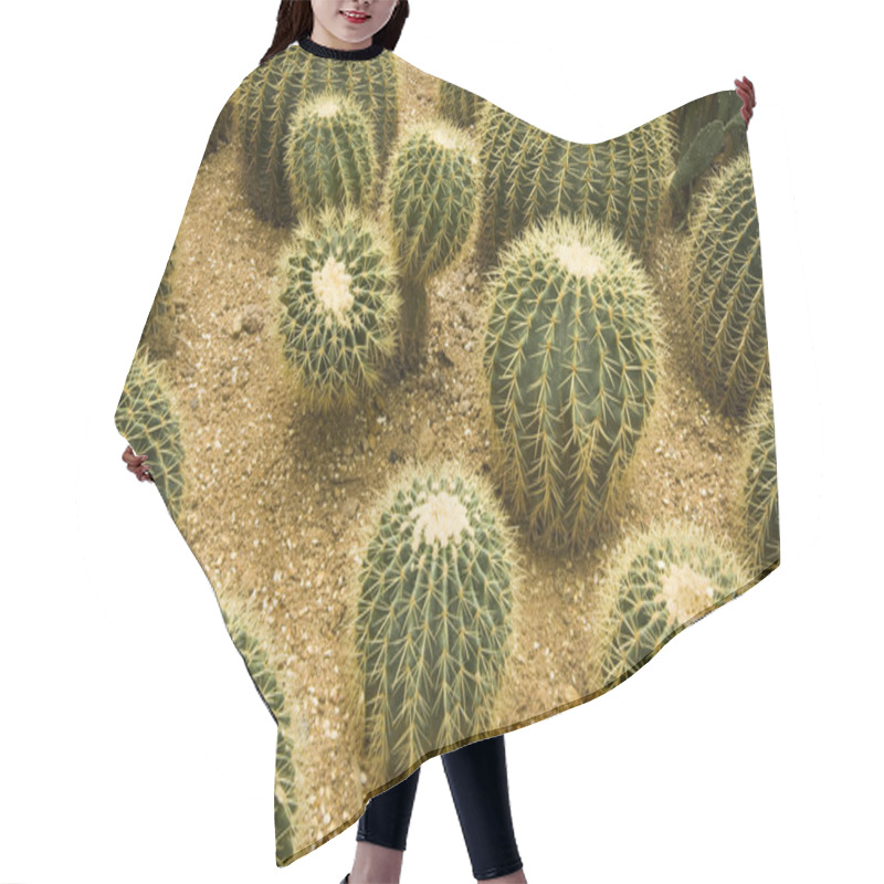 Personality  Cactus Garden Hair Cutting Cape