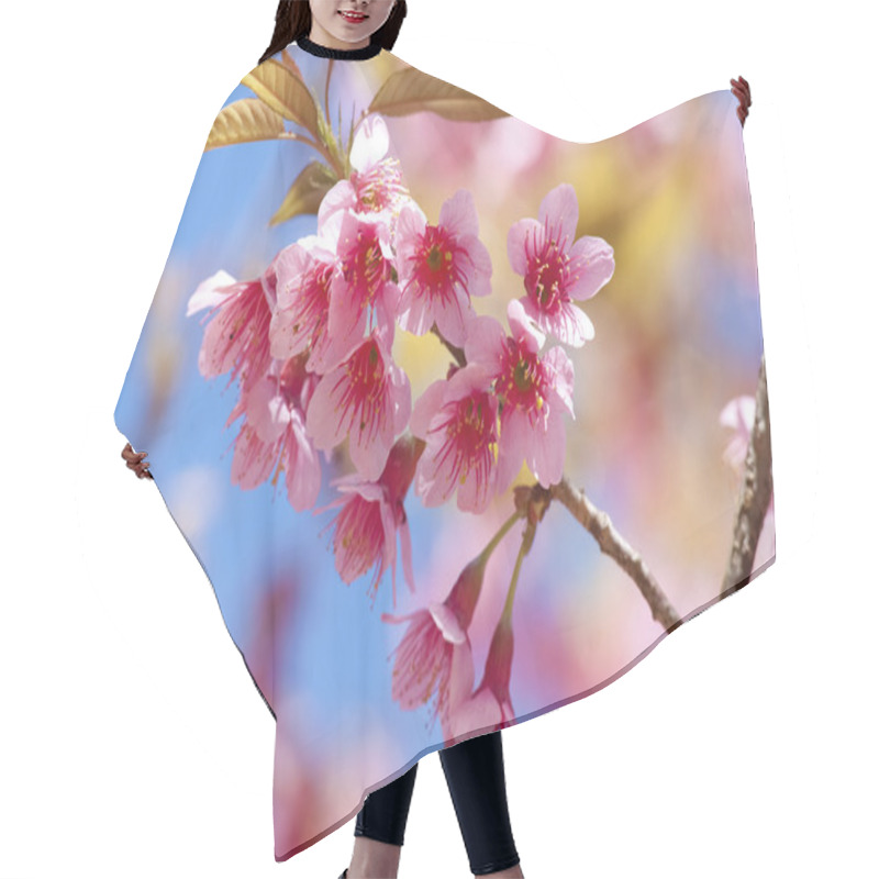 Personality  Sakura Flowers Hair Cutting Cape