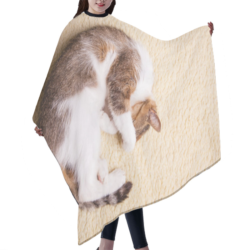 Personality  Relaxing Cat Hair Cutting Cape