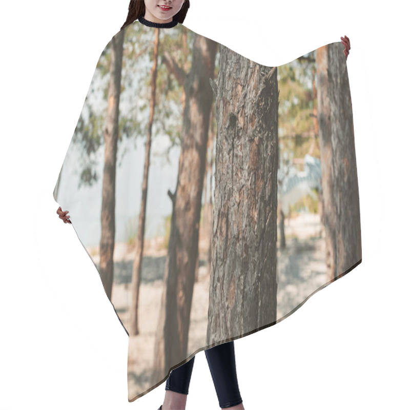 Personality  Close Up View Of Pine Trees In Forest On Summer Day Hair Cutting Cape