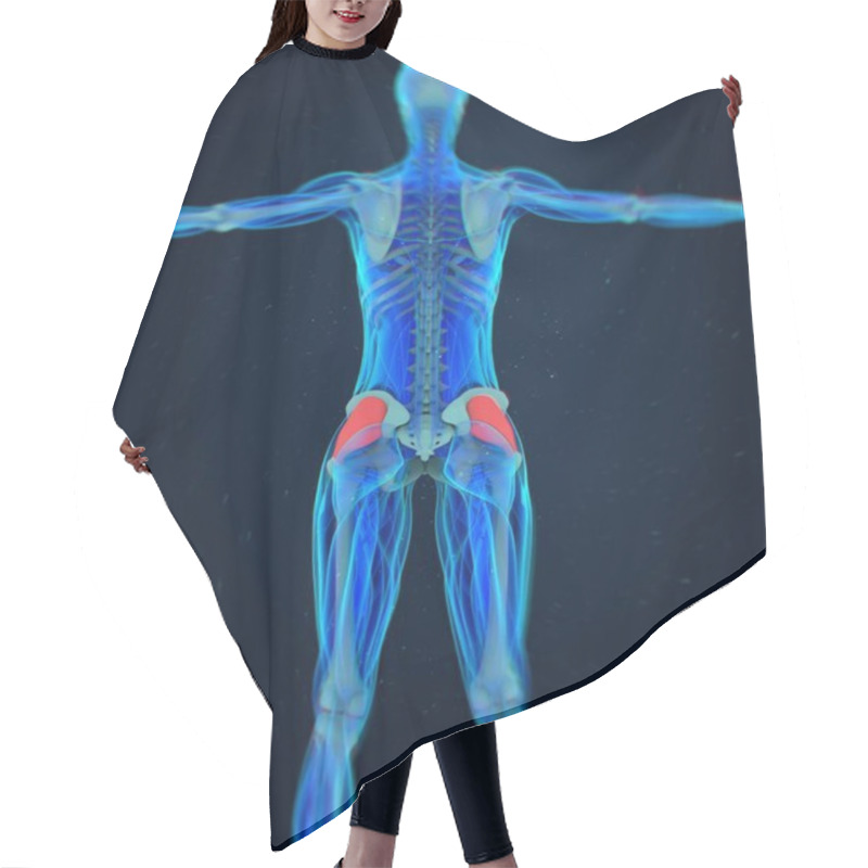 Personality  Female Fascia Lata Anatomy Model Hair Cutting Cape