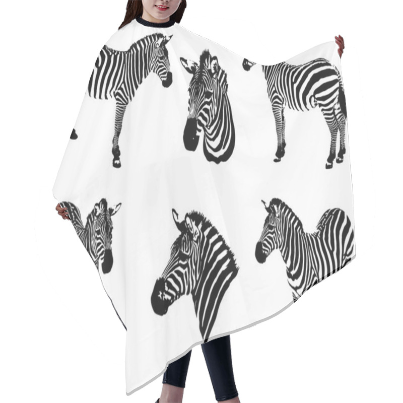 Personality  Zebras On A White Background Hair Cutting Cape