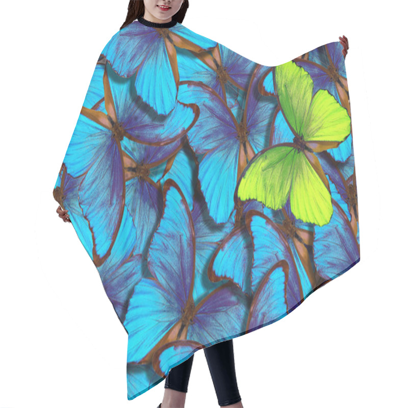 Personality  Beautiful Background With Lot Of Different Butterflys. Wings Of A Butterfly Morpho.  Hair Cutting Cape