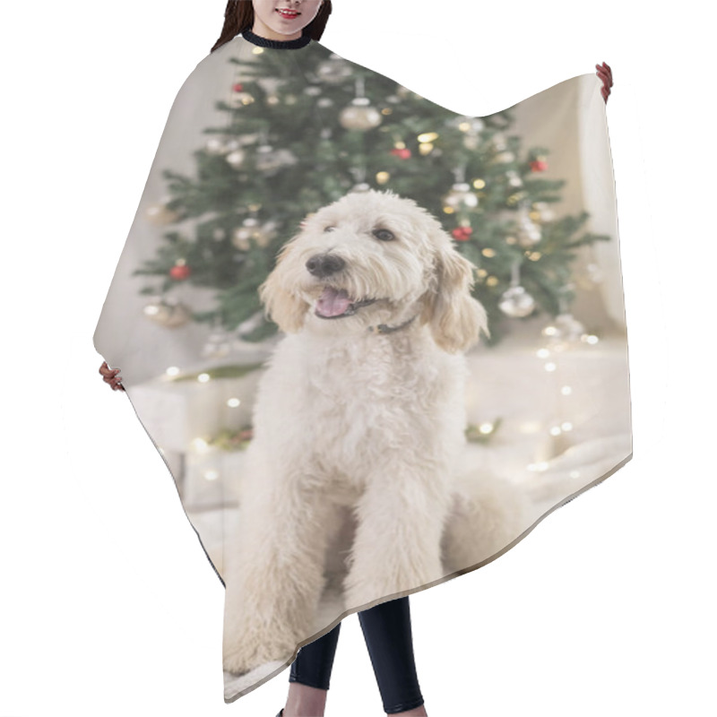 Personality  Smiling Dog Sitting In Front Of Christmas Tree Hair Cutting Cape