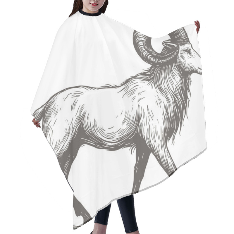 Personality  Detailed Illustration Of A Majestic Ram In Engraving Style Hair Cutting Cape