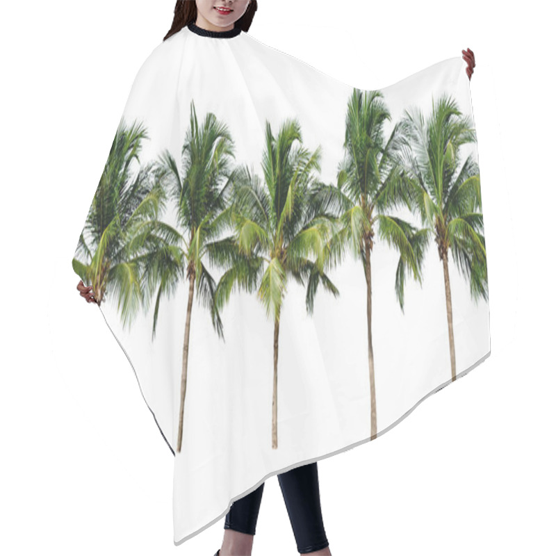 Personality  Leaf Coconut Tree Isolated On White Background ,Green Leaves Pattern  Hair Cutting Cape