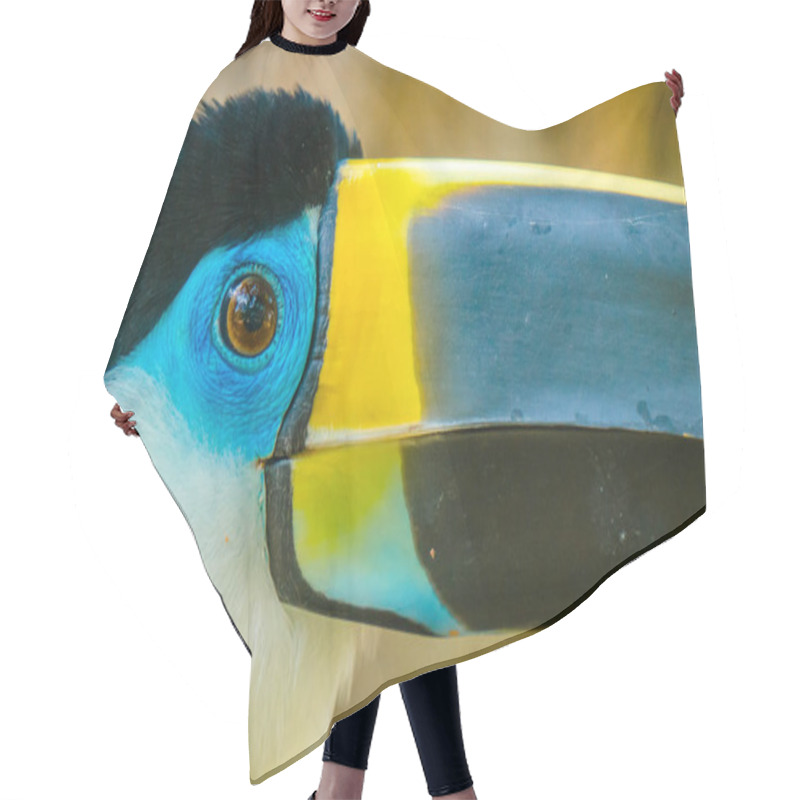 Personality  Portrait Of Blue And Yellow Toucan In The Ecuadorian Amazon Hair Cutting Cape