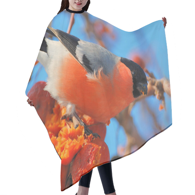 Personality  Bird On A Branch In An Apple Orchard Hair Cutting Cape