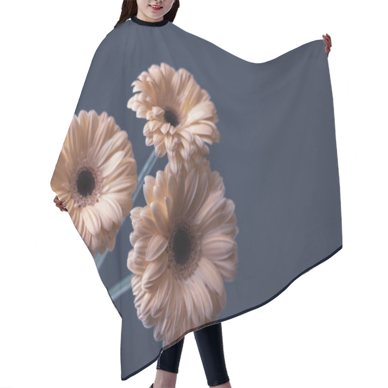 Personality  Fresh Pink Cream Gerbera Flowers On A Decorative Gray Background Hair Cutting Cape