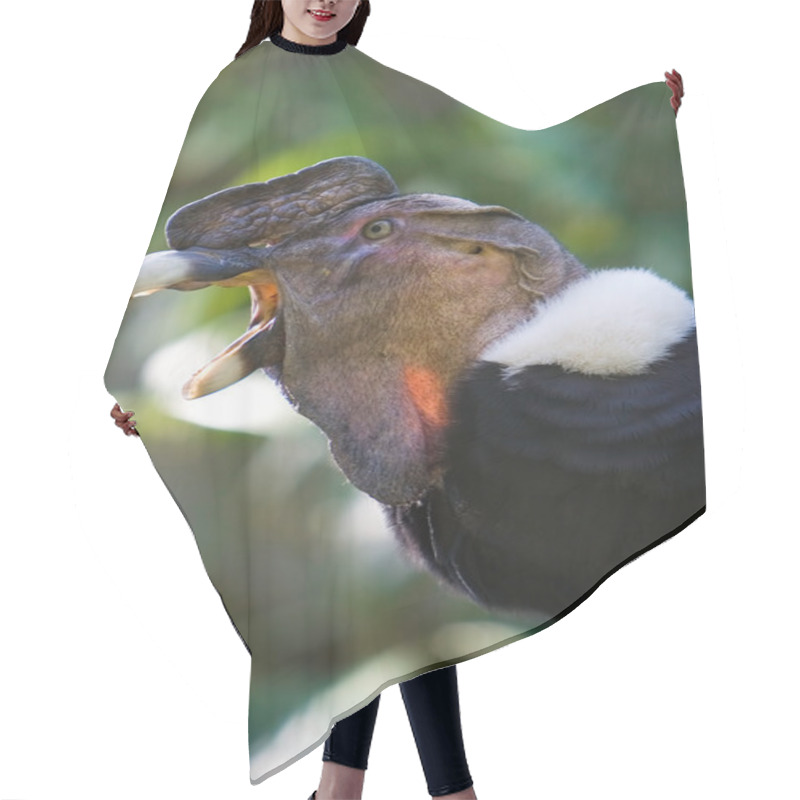 Personality  Andean Condor Hair Cutting Cape