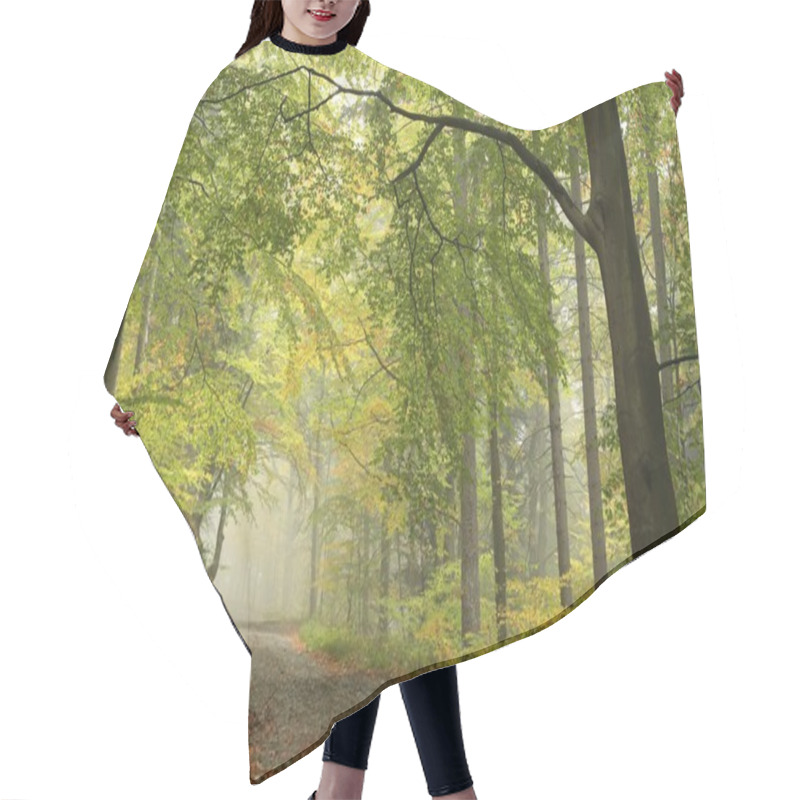 Personality  Forest Trail In Foggy Autumn Morning Hair Cutting Cape