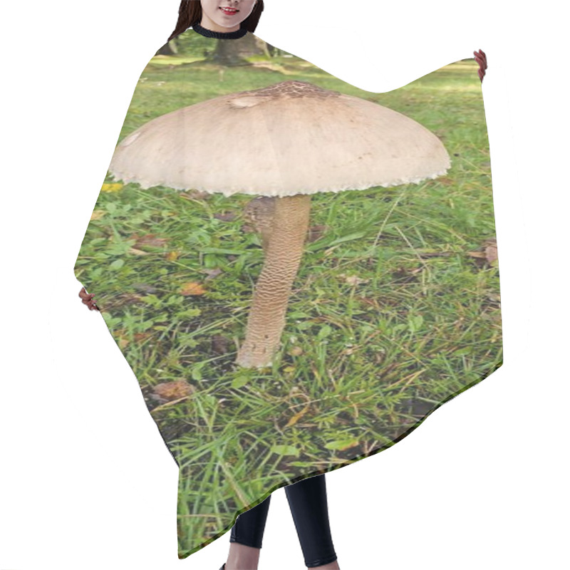 Personality  Close-Up Of Wild Mushroom In A Forest Setting During Autumn Hair Cutting Cape