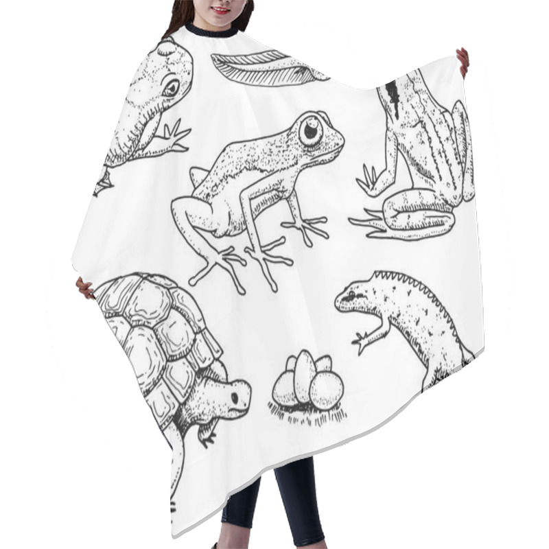 Personality  Reptiles And Amphibians Set. Pet And Tropical Animals. Wildlife And Frogs, Lizard And Turtle, Chameleon And Anuran Engraved Hand Drawn In Old Vintage Sketch. Vector Illustration. Exotic Zoology. Hair Cutting Cape