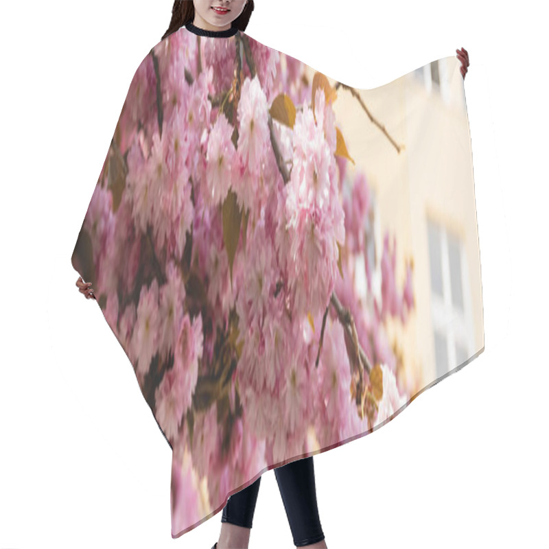 Personality  Blossoming Pink Flowers On Branches Of Cherry Tree, Banner Hair Cutting Cape