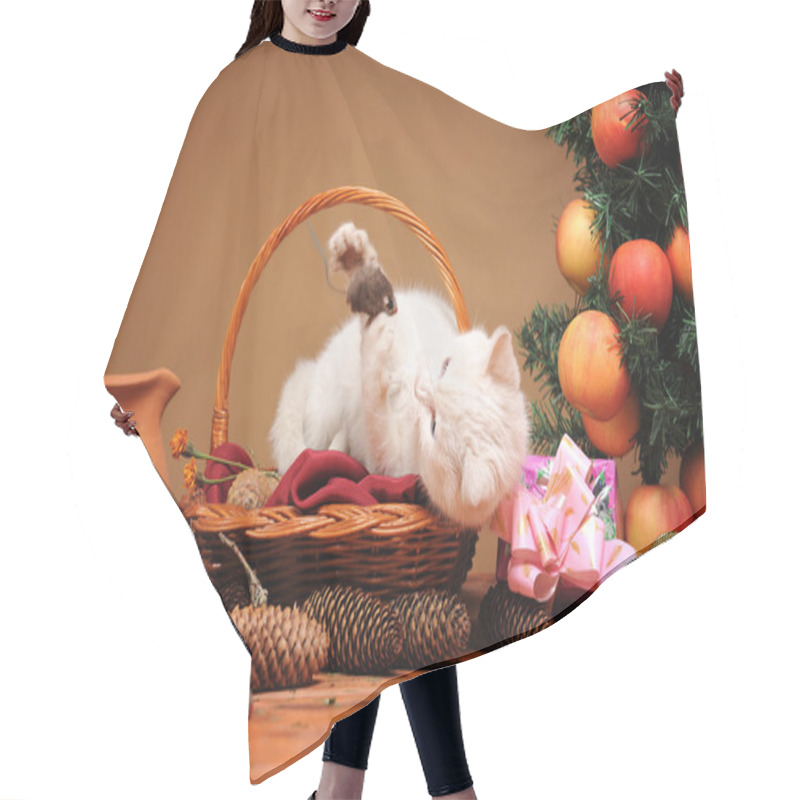 Personality  White Cat Playing With A Plush Mice Hair Cutting Cape