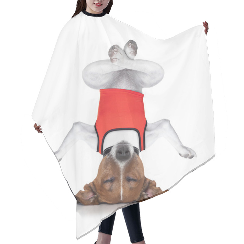 Personality  Yoga Dog Hair Cutting Cape