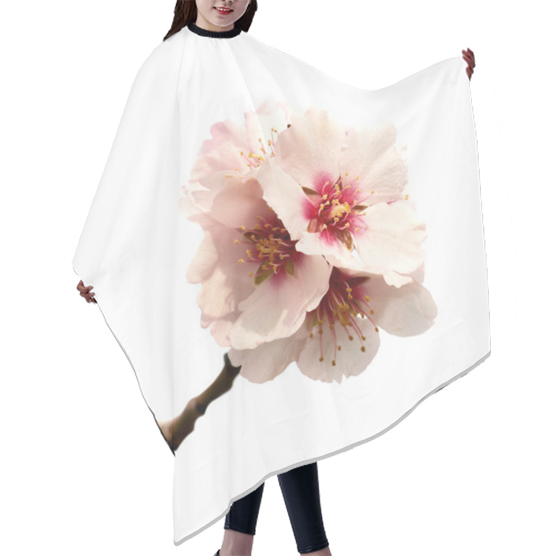 Personality  Almond Tree Pink Flowers Hair Cutting Cape