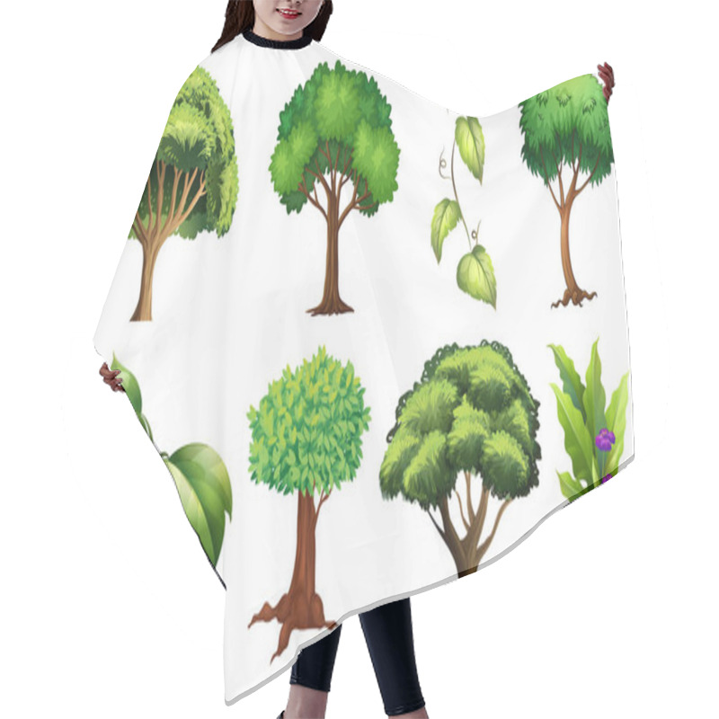 Personality  Set Of Variety Plants And Trees Illustration Hair Cutting Cape