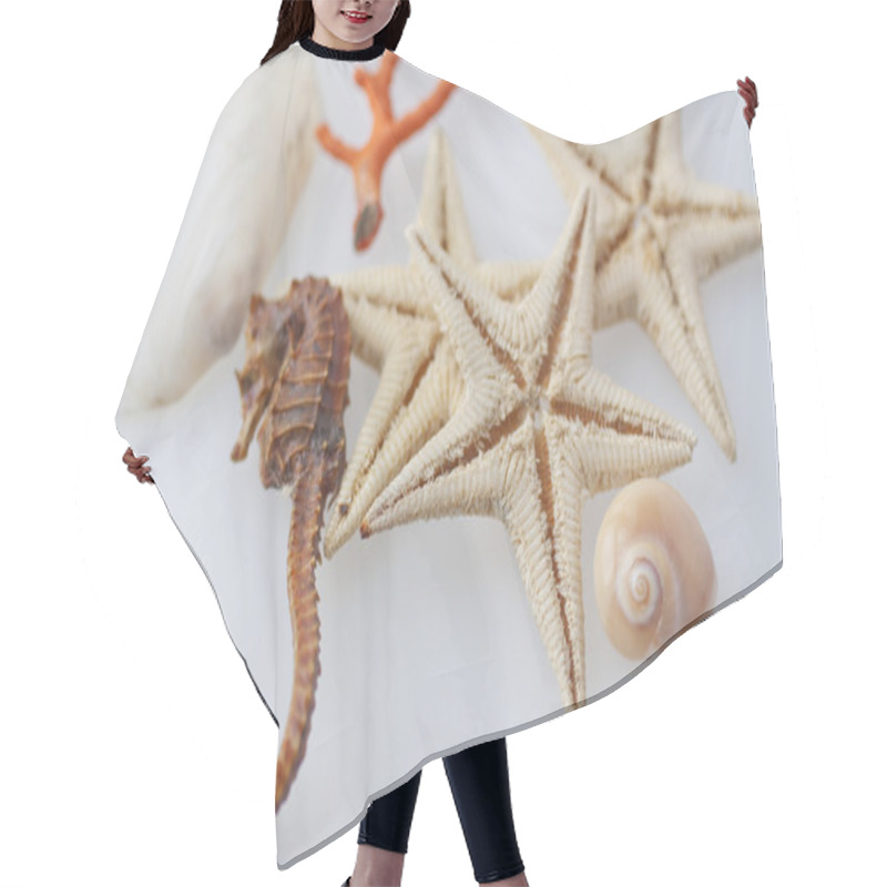 Personality  Marine Animals Hair Cutting Cape