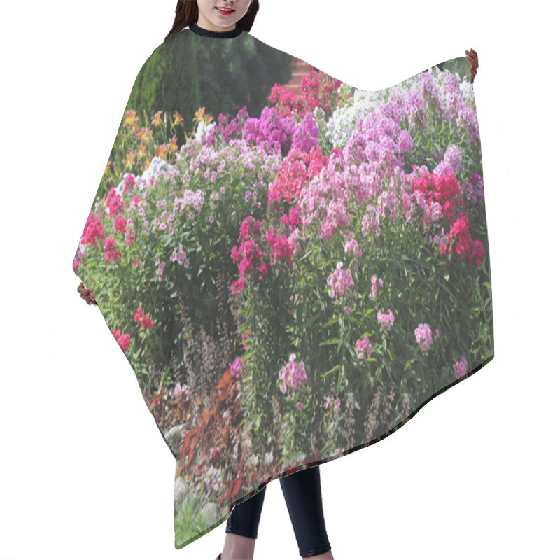 Personality  Flowerbed Flowering Phlox In The Garden Hair Cutting Cape