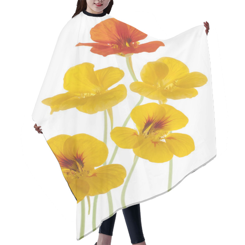 Personality  Nasturtium Hair Cutting Cape