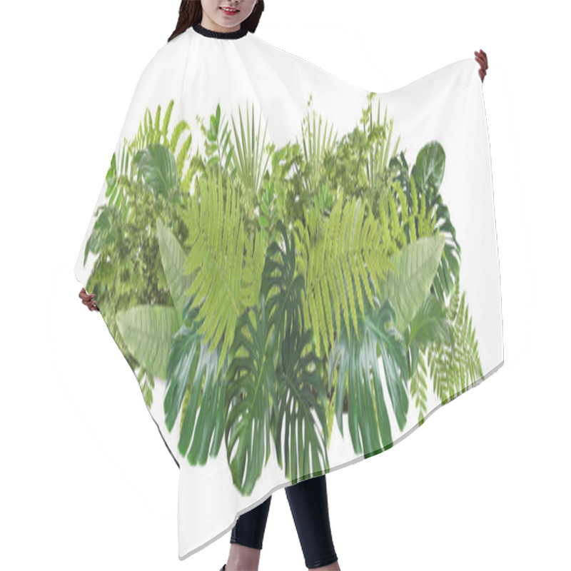 Personality  Beautiful Composition With Fern And Other Tropical Leaves On White Background. Banner Design Hair Cutting Cape