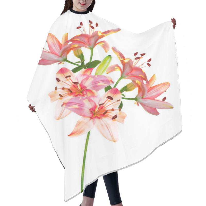 Personality  Bright Lily Flowers Isolated On White Background. Nature Hair Cutting Cape