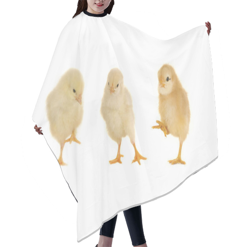 Personality  Chick Hair Cutting Cape