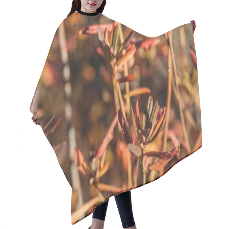 Personality  Beautiful Autumn Leaves Hair Cutting Cape