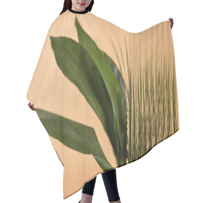 Personality  Selective Focus Of Reed Glass In Front Of Big Green Leaves Isolated On Beige Hair Cutting Cape