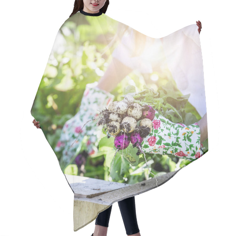 Personality  Woman In Gloves Harvesting Radishes In Vegetable Garden Hair Cutting Cape