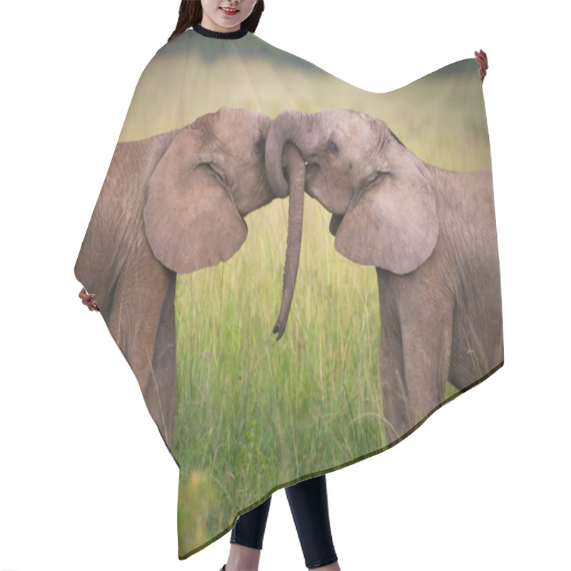 Personality  Elephants In Love,Masai Mara,Kenya Hair Cutting Cape