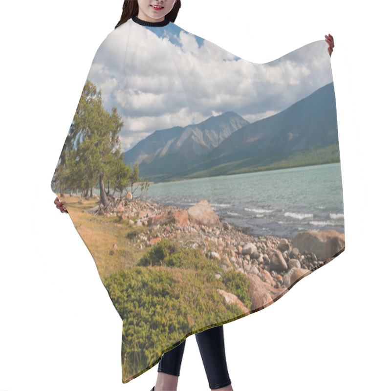 Personality  Tree On The Shore Of High Mountain Lake Hair Cutting Cape