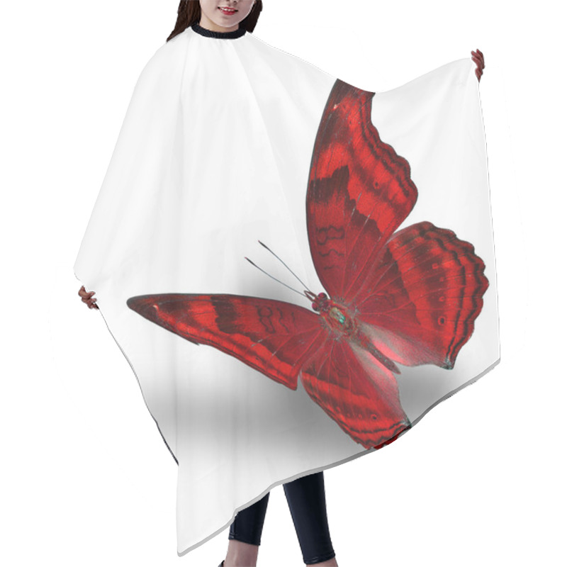 Personality  The Beautiful Flying Metal Red Butterfly On White Background With Soft Shadow Hair Cutting Cape