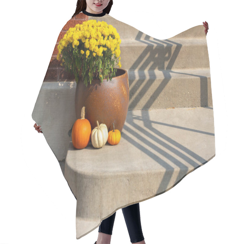 Personality  Close Up Background Texture View Of A Sunny Doorstep In Front Of A Brick Building With A Ceramic Pot Of Bright Yellow Mums, And Small Colorful Pumpkins In Front, With Copy Space. Hair Cutting Cape