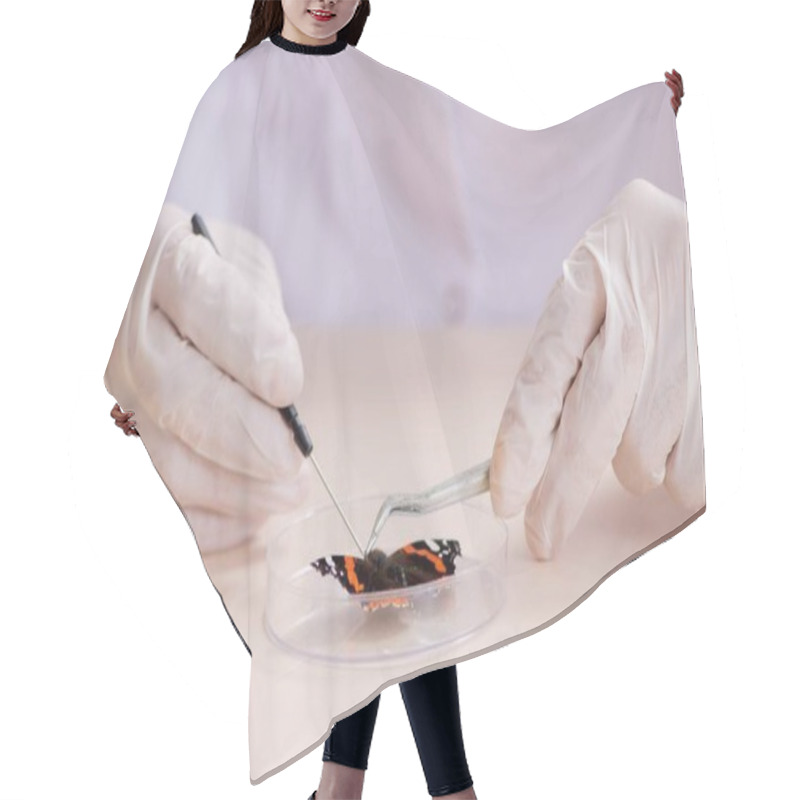 Personality  Scientist Entomologist Studying New Butterfly Species Hair Cutting Cape