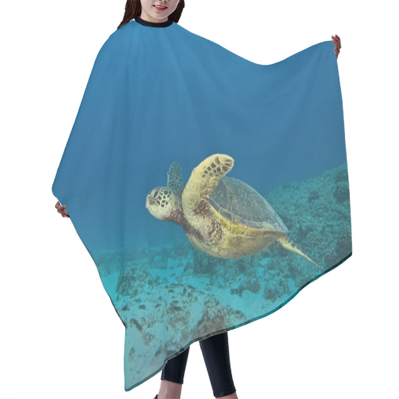 Personality  Tropical Reef Underwater Hair Cutting Cape