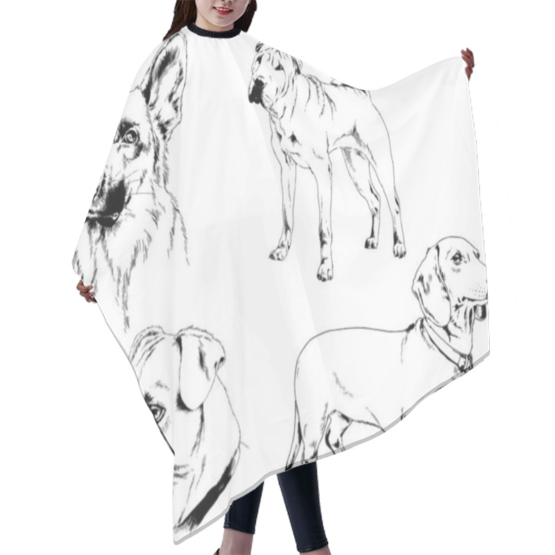 Personality  Vector Drawings Sketches Pedigree Dogs And Cats  Drawn In Ink By Hand , Objects With No Background Hair Cutting Cape