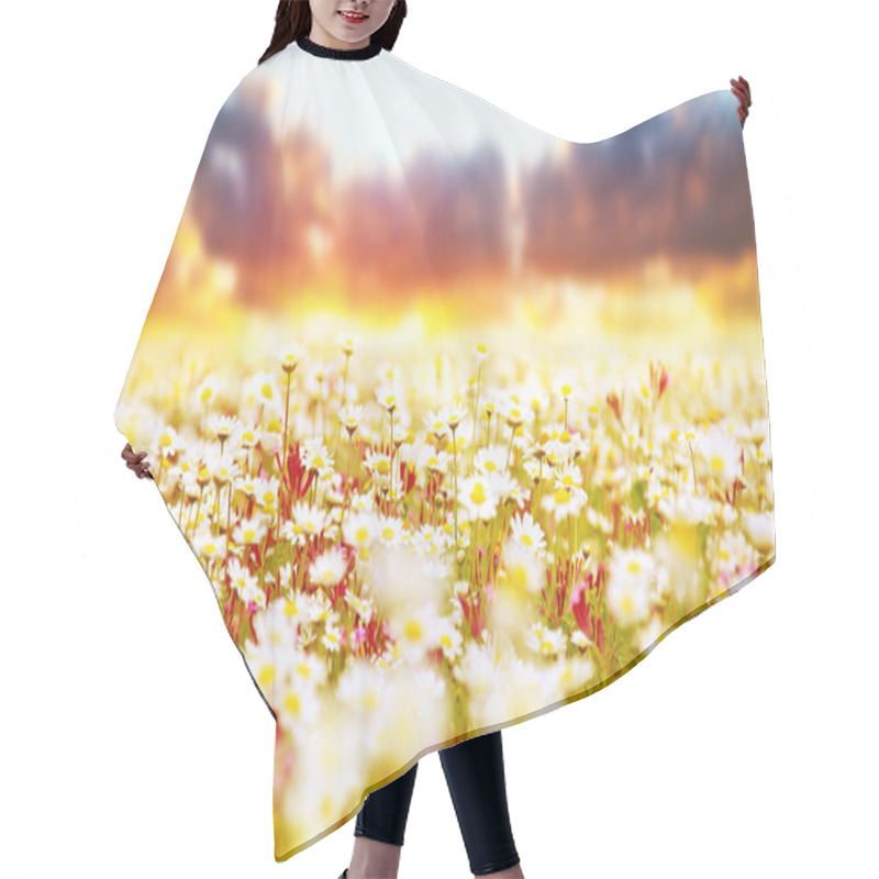 Personality  Daisy Field Over Sunset Hair Cutting Cape