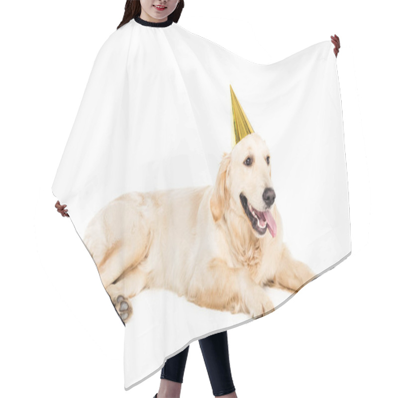 Personality  Dog In Party Hat   Hair Cutting Cape