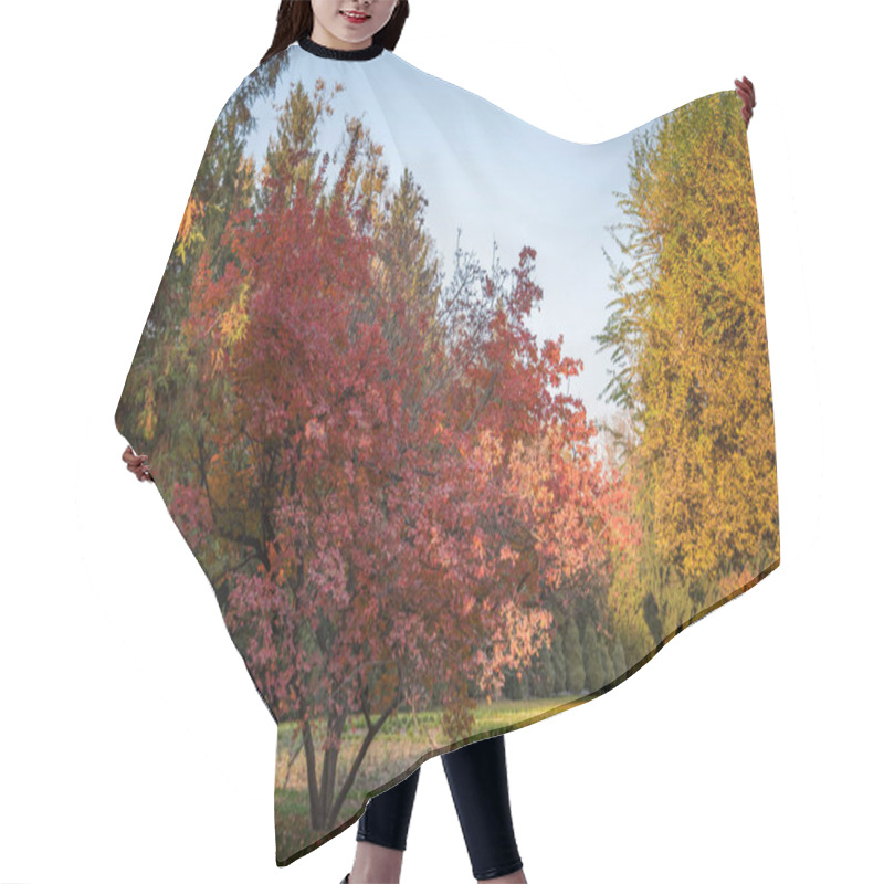 Personality  A Serene Park In Autumn, With A Striking Red Maple In Full Seasonal Color Amid Green And Yellowing Trees Under A Clear Sky, Signals Mid-fall. Hair Cutting Cape