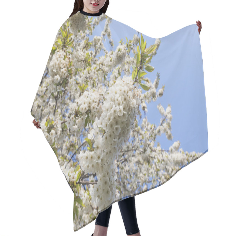 Personality  White Cherry Blossoms Hair Cutting Cape