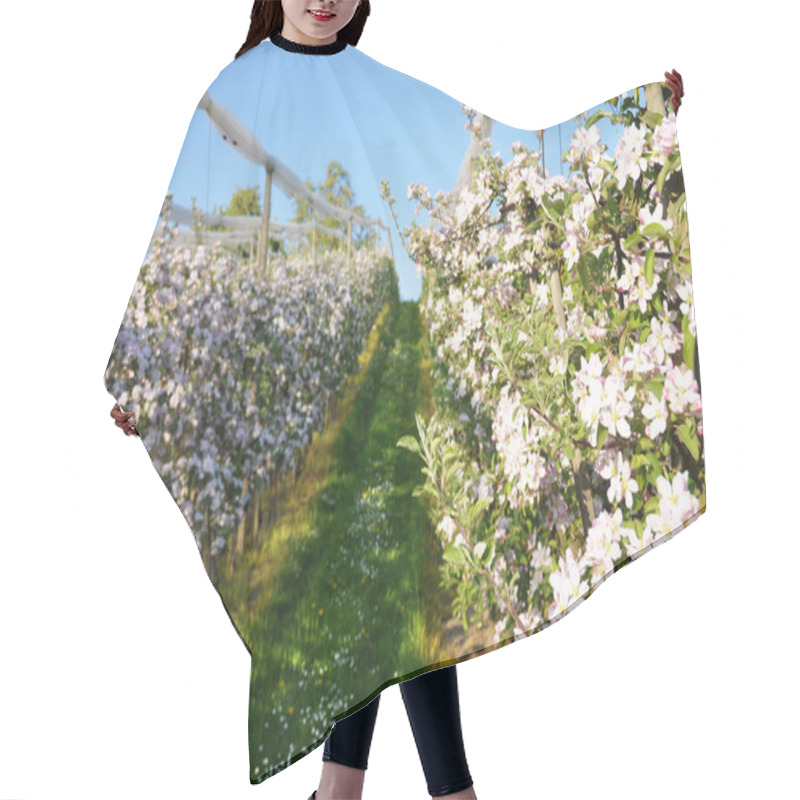 Personality  Apple Garden Blossom Hair Cutting Cape