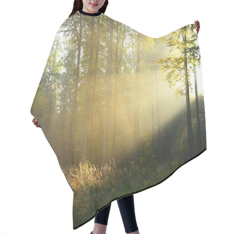 Personality  Beautiful Morning Sunbeams In Misty Forest Hair Cutting Cape