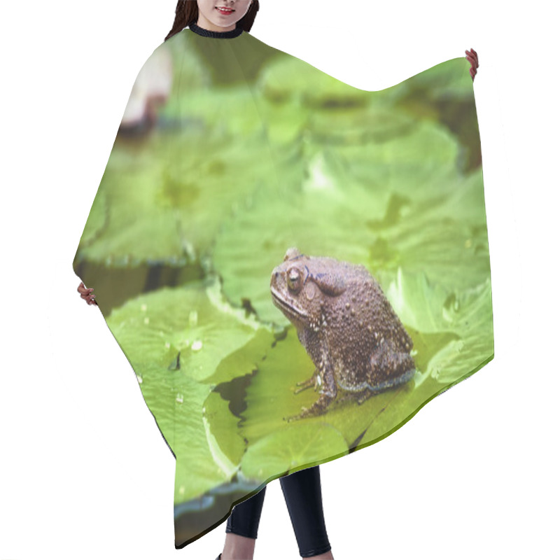 Personality  Frog On Lilypad Hair Cutting Cape