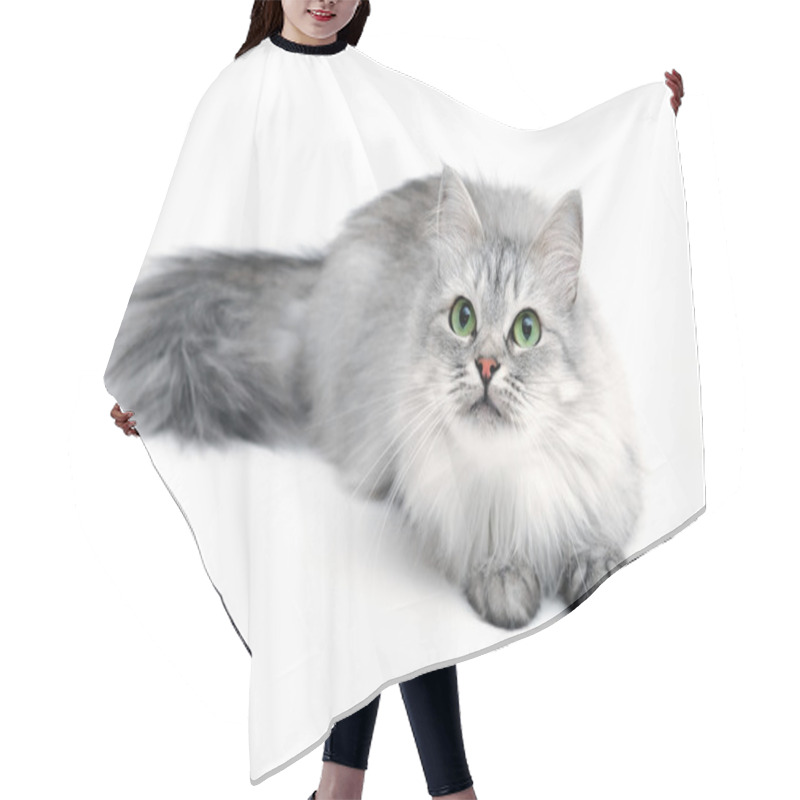 Personality  Playful Cat Hair Cutting Cape