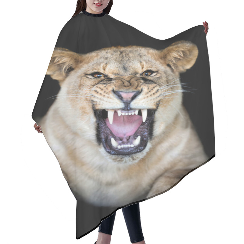 Personality  Lion Hair Cutting Cape